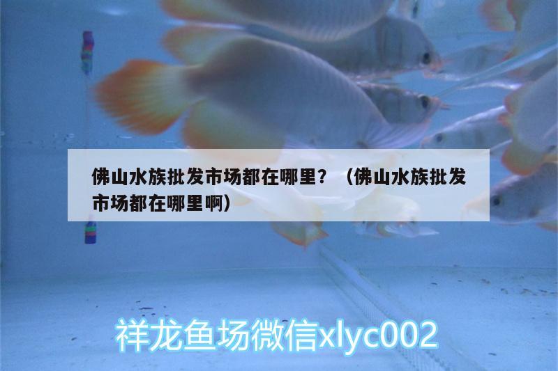 佛山水族批发市场都在哪里？（佛山水族批发市场都在哪里啊）