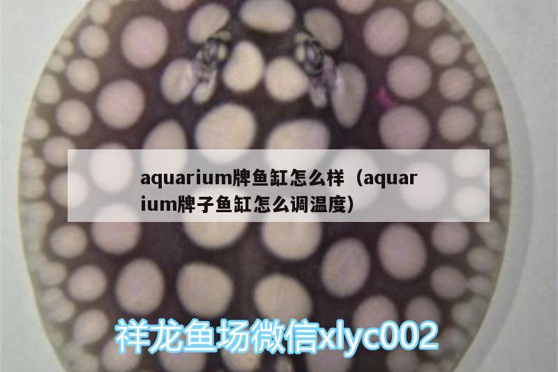 aquarium牌鱼缸怎么样（aquarium牌子鱼缸怎么调温度）