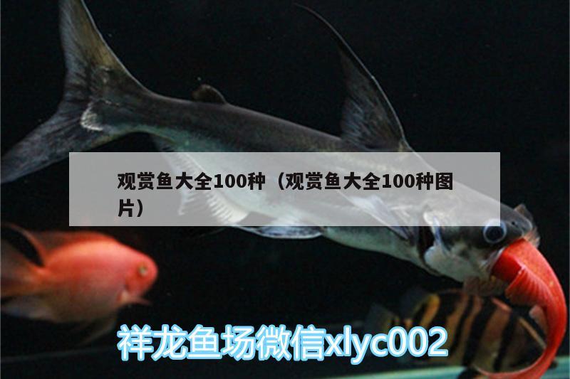 观赏鱼大全100种（观赏鱼大全100种图片）