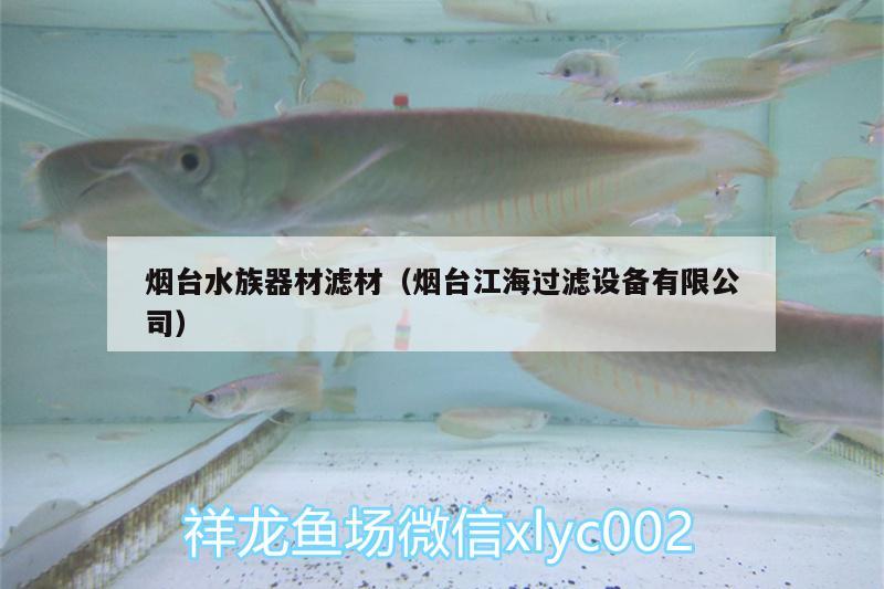 烟台水族器材滤材（烟台江海过滤设备有限公司） 过滤设备