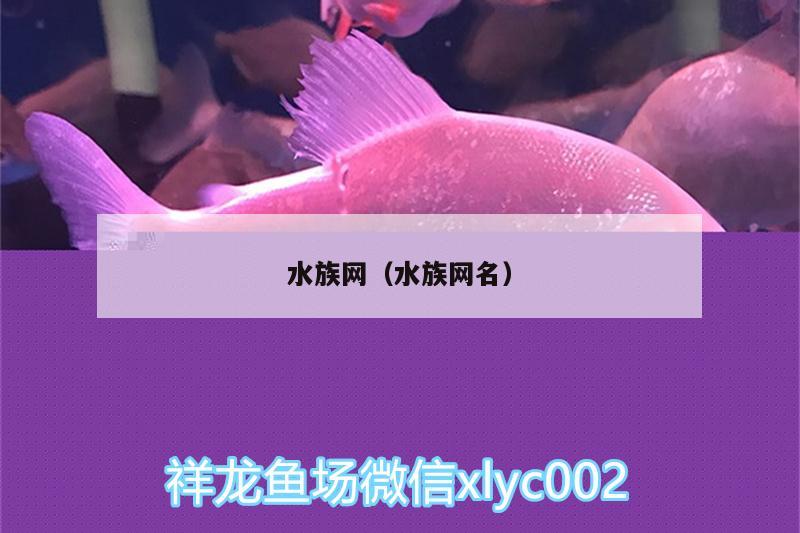 水族网（水族网名） 观赏鱼饲料