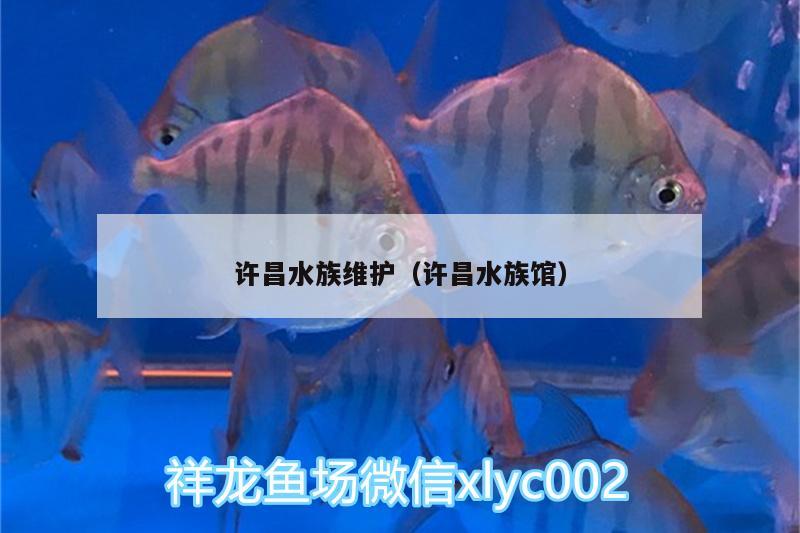 许昌水族维护（许昌水族馆）