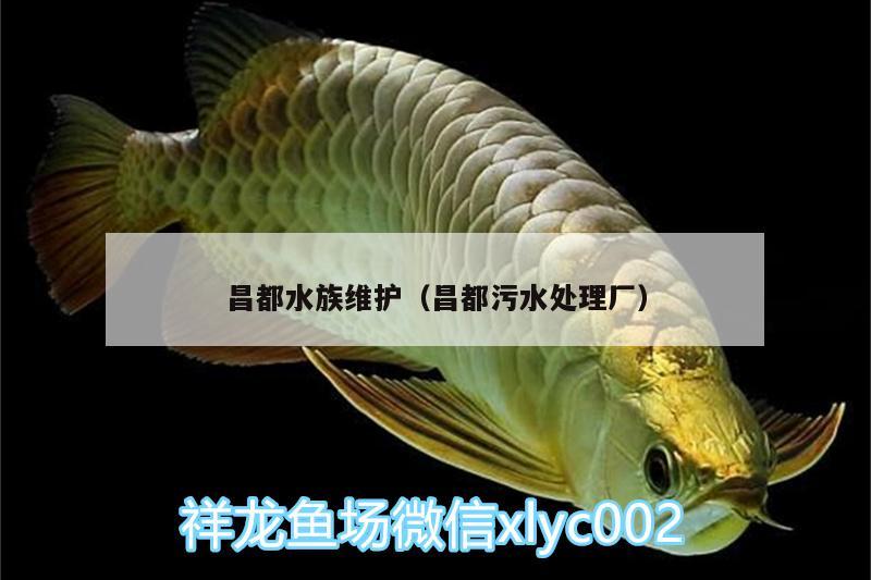 昌都水族维护（昌都污水处理厂）