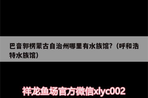 巴音郭楞蒙古自治州哪里有水族馆?（呼和浩特水族馆）