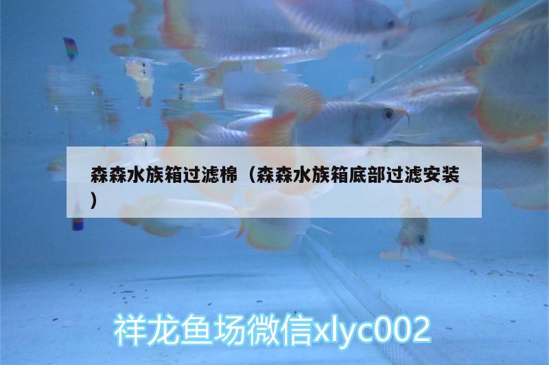 森森水族箱过滤棉（森森水族箱底部过滤安装） 鱼缸/水族箱