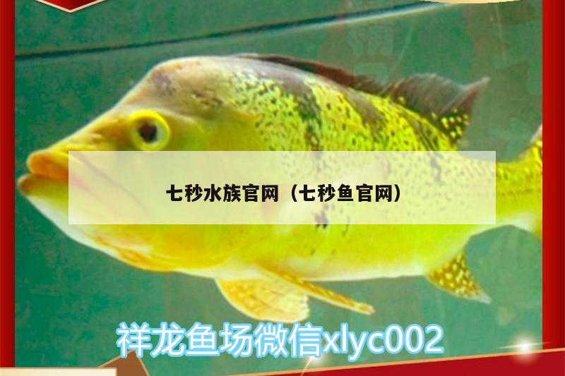 七秒水族官网（七秒鱼官网）