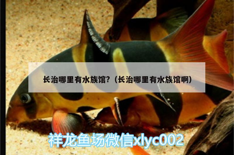 长治哪里有水族馆?（长治哪里有水族馆啊）