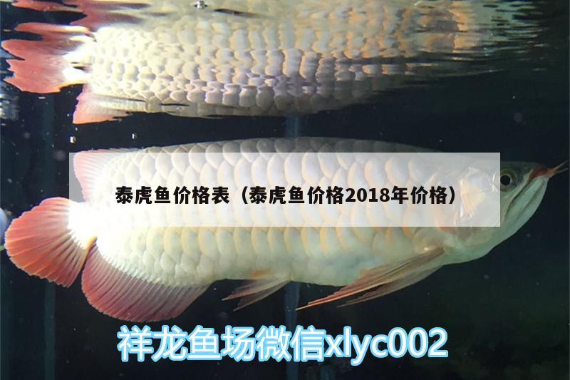 泰虎鱼价格表（泰虎鱼价格2018年价格） 虎鱼百科