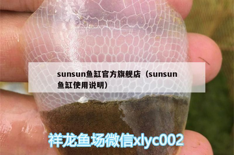 sunsun鱼缸官方旗舰店（sunsun鱼缸使用说明） 金头过背金龙鱼