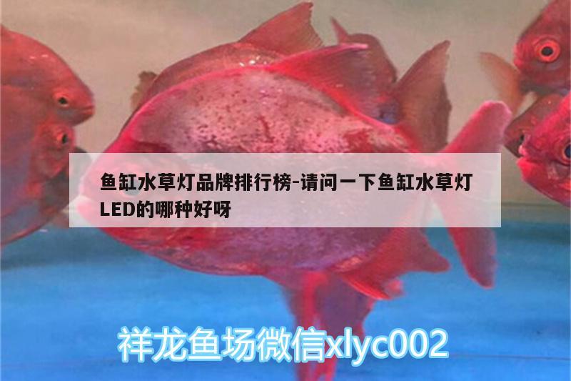 鱼缸水草灯品牌排行榜:请问一下鱼缸水草灯LED的哪种好呀