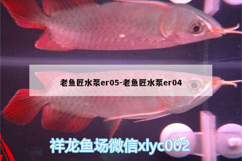 老鱼匠水泵er05:老鱼匠水泵er04 老鱼匠