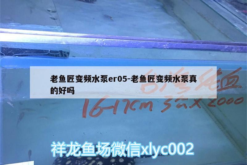 老鱼匠变频水泵er05:老鱼匠变频水泵真的好吗 老鱼匠