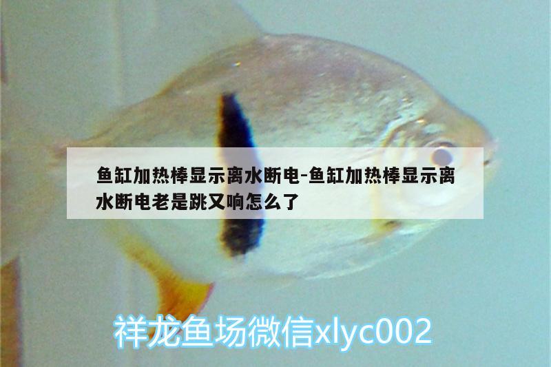 鱼缸加热棒显示离水断电:鱼缸加热棒显示离水断电老是跳又响怎么了