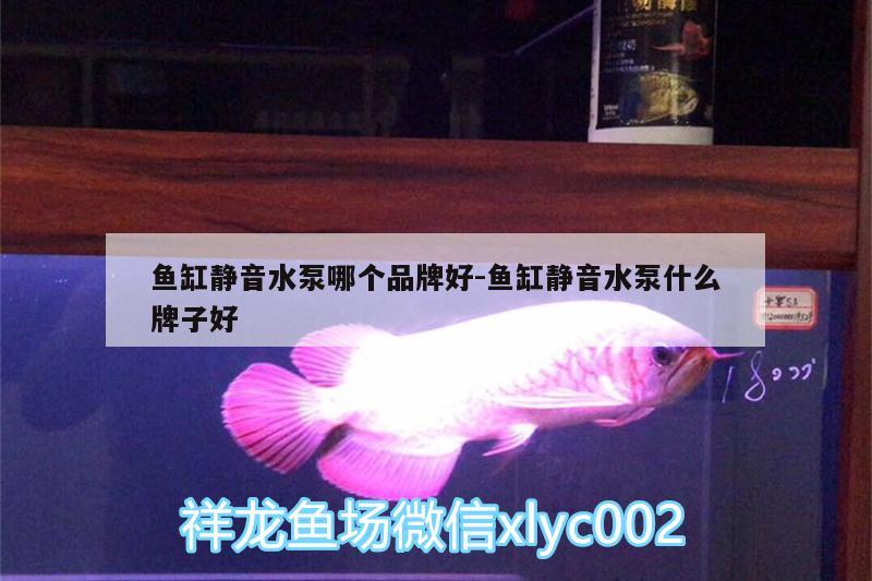 鱼缸静音水泵哪个品牌好:鱼缸静音水泵什么牌子好 广州水族器材滤材批发市场