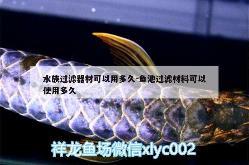 水族过滤器材可以用多久:鱼池过滤材料可以使用多久 图腾金龙鱼