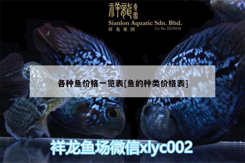 各种鱼价格一览表[鱼的种类价格表] 高背金龙鱼 第2张