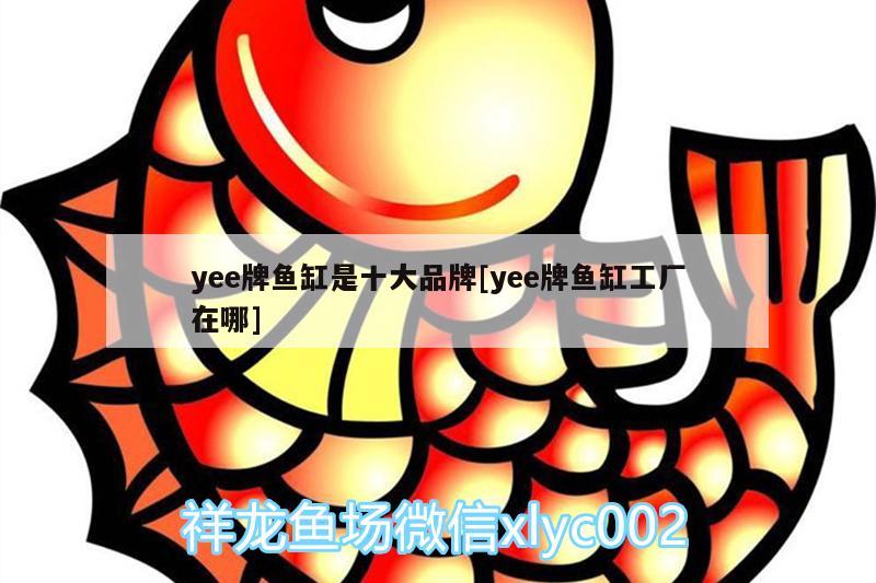 yee牌鱼缸是十大品牌[yee牌鱼缸工厂在哪] yee