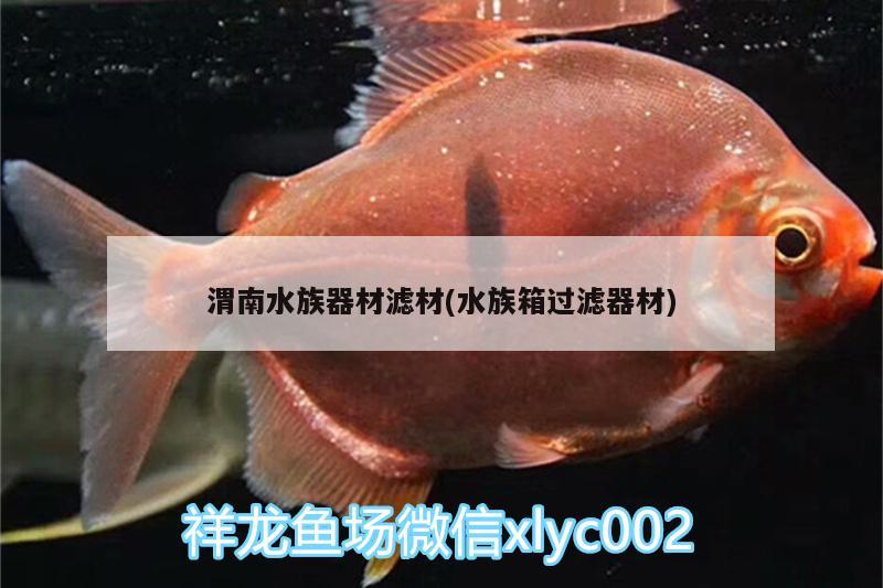 渭南水族器材滤材(水族箱过滤器材) 鱼缸/水族箱