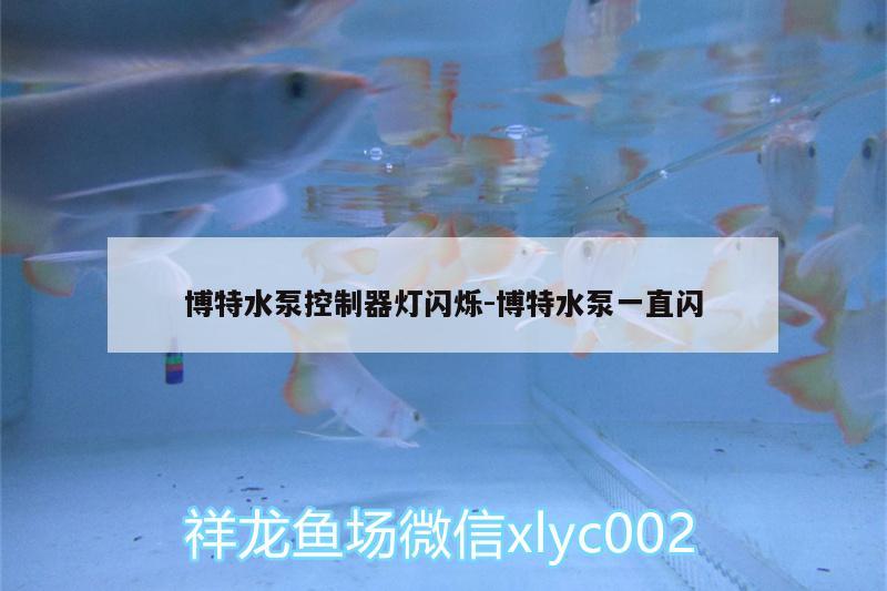 博特水泵控制器灯闪烁:博特水泵一直闪 博特水族