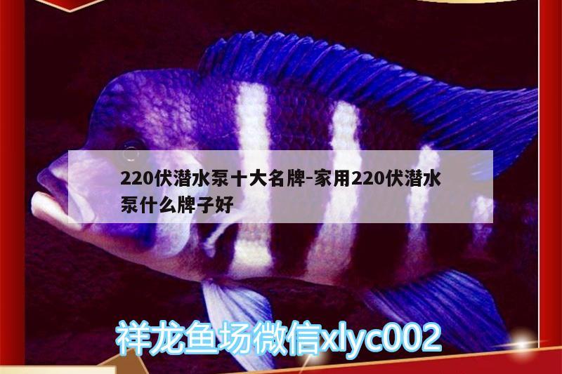 220伏潜水泵十大名牌:家用220伏潜水泵什么牌子好