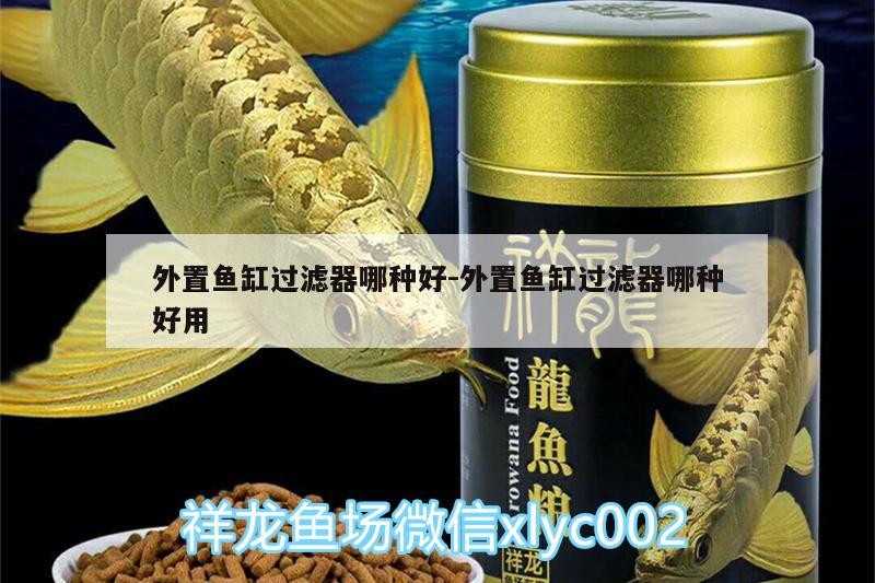 外置鱼缸过滤器哪种好:外置鱼缸过滤器哪种好用 巴西亚鱼苗