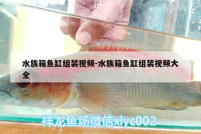 水族箱鱼缸组装视频:水族箱鱼缸组装视频大全 鱼缸/水族箱