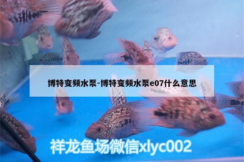 博特变频水泵:博特变频水泵e07什么意思 博特水族