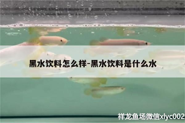 黑水饮料怎么样:黑水饮料是什么水