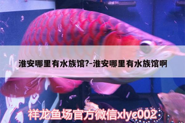 淮安哪里有水族馆?:淮安哪里有水族馆啊 除藻剂