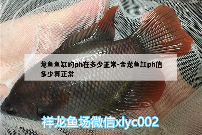 龙鱼鱼缸的ph在多少正常:金龙鱼缸ph值多少算正常