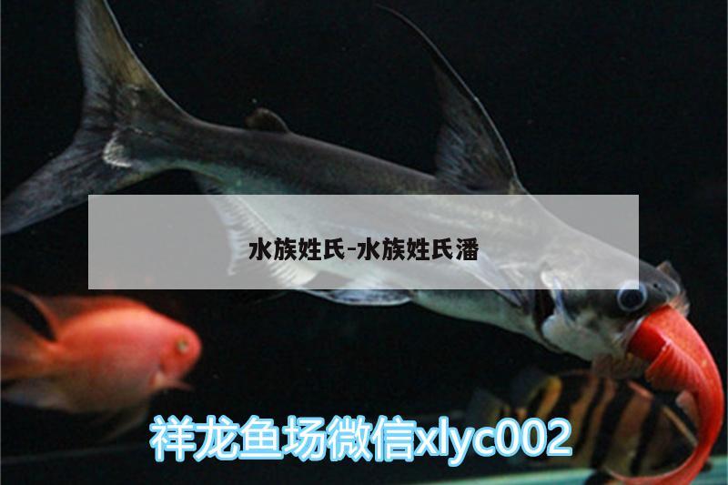 水族姓氏:水族姓氏潘 广州观赏鱼鱼苗批发市场