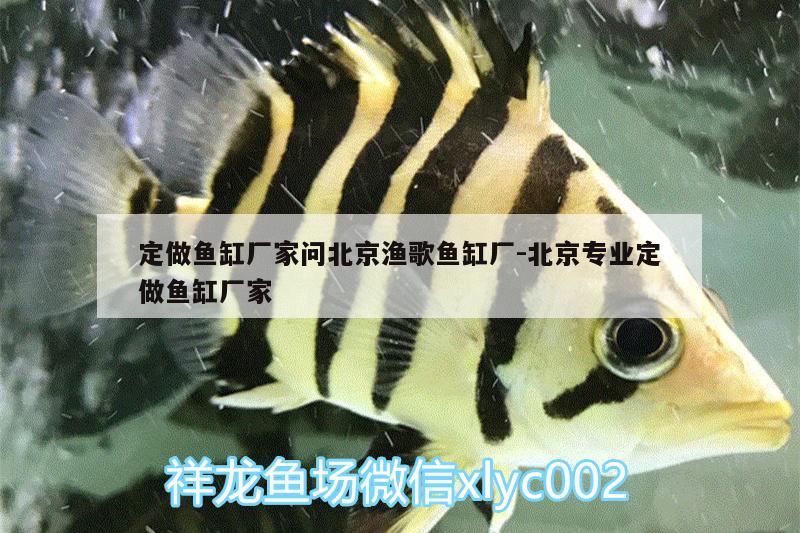 定做鱼缸厂家问北京渔歌鱼缸厂:北京专业定做鱼缸厂家