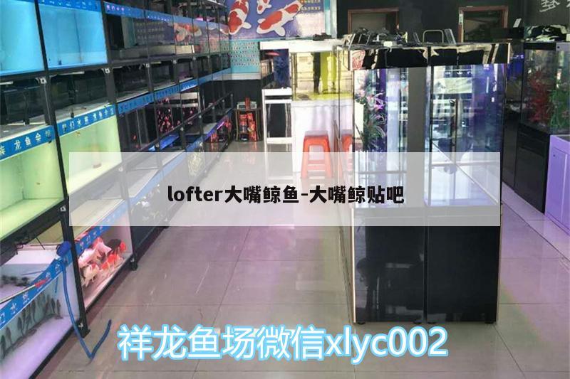 lofter大嘴鲸鱼:大嘴鲸贴吧