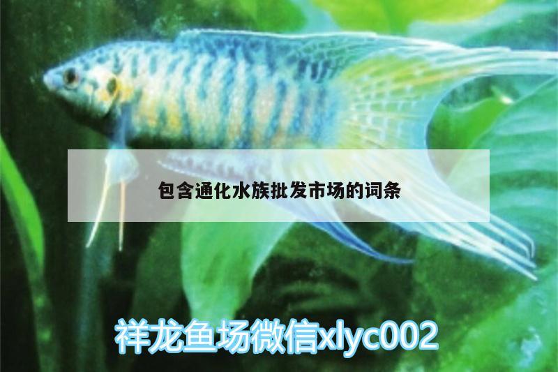 包含通化水族批发市场的词条