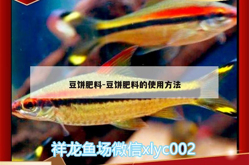 豆饼肥料:豆饼肥料的使用方法