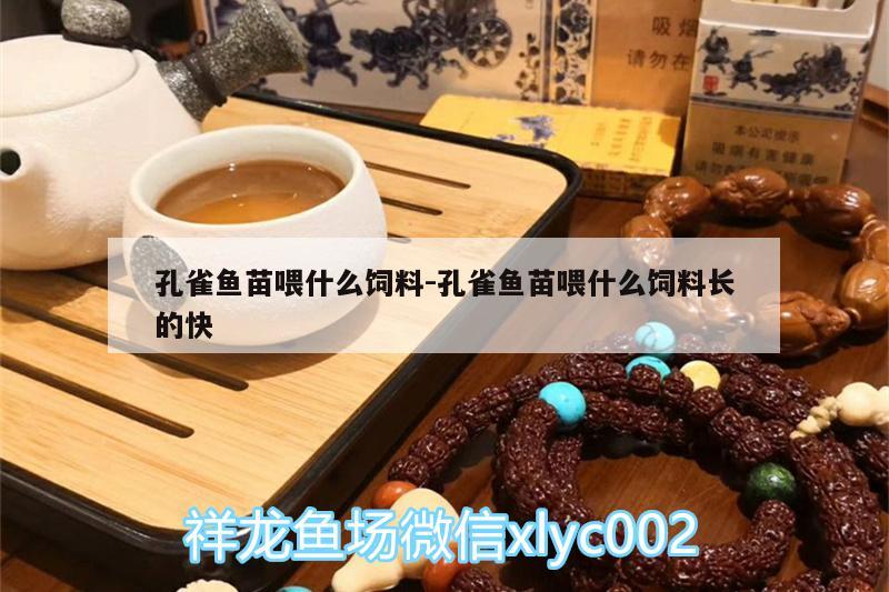 孔雀鱼苗喂什么饲料:孔雀鱼苗喂什么饲料长的快