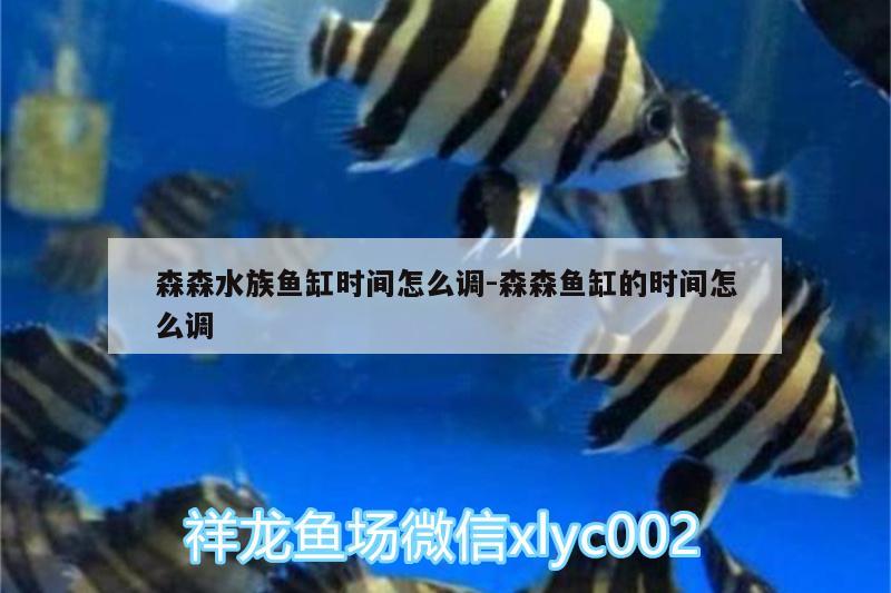 森森水族鱼缸时间怎么调:森森鱼缸的时间怎么调 魟鱼百科