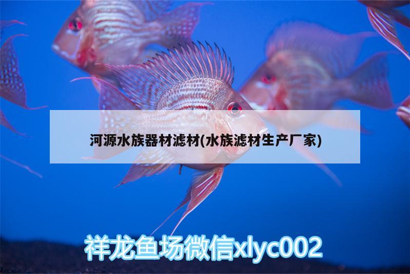 河源水族器材滤材(水族滤材生产厂家) 黄金斑马鱼