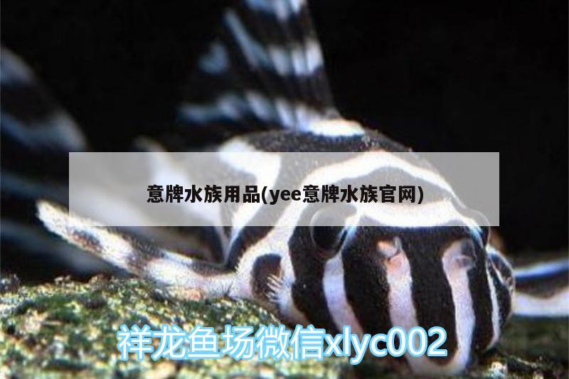 意牌水族用品(yee意牌水族官网)