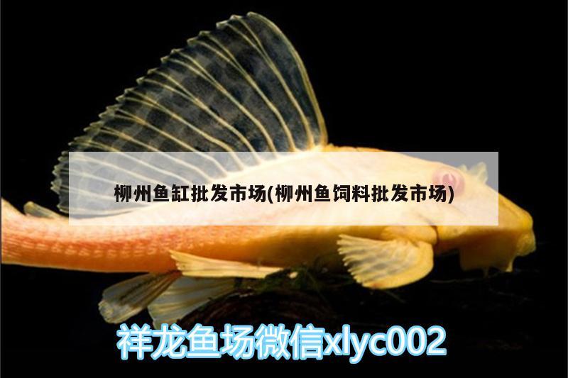 柳州鱼缸批发市场(柳州鱼饲料批发市场) 水族灯（鱼缸灯）