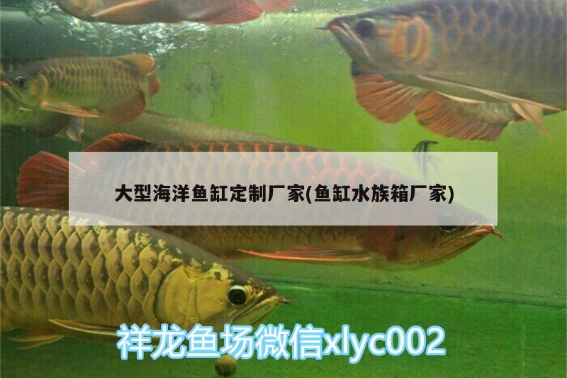 大型海洋鱼缸定制厂家(鱼缸水族箱厂家) 鱼缸/水族箱