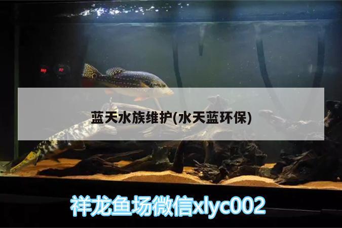 蓝天水族维护(水天蓝环保)