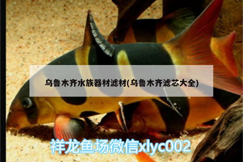 乌鲁木齐水族器材滤材(乌鲁木齐滤芯大全) 龙鱼批发