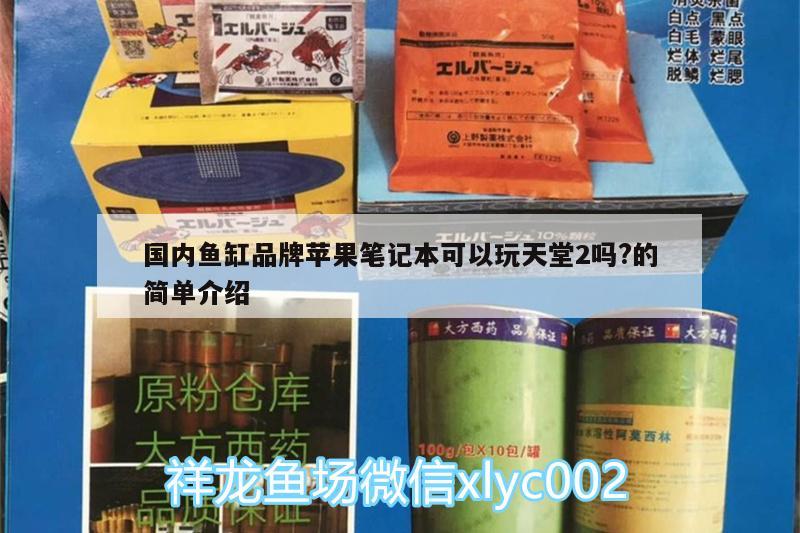 国内鱼缸品牌苹果笔记本可以玩天堂2吗?的简单介绍