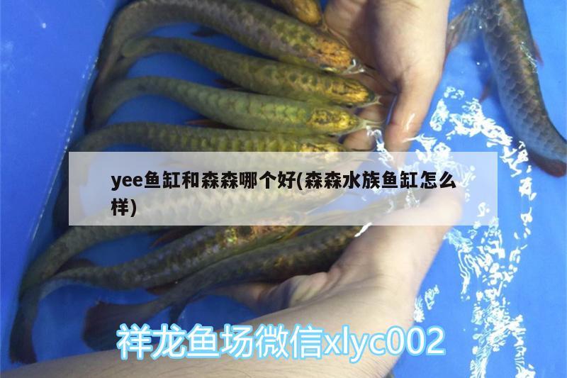 yee鱼缸和森森哪个好(森森水族鱼缸怎么样) yee