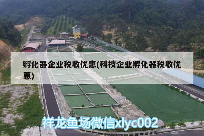 孵化器企业税收优惠(科技企业孵化器税收优惠) 孵化器