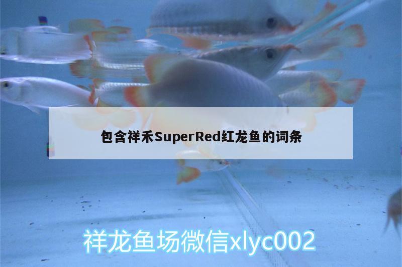 包含祥禾SuperRed红龙鱼的词条