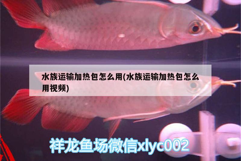 水族运输加热包怎么用(水族运输加热包怎么用视频) 蝴蝶鲤