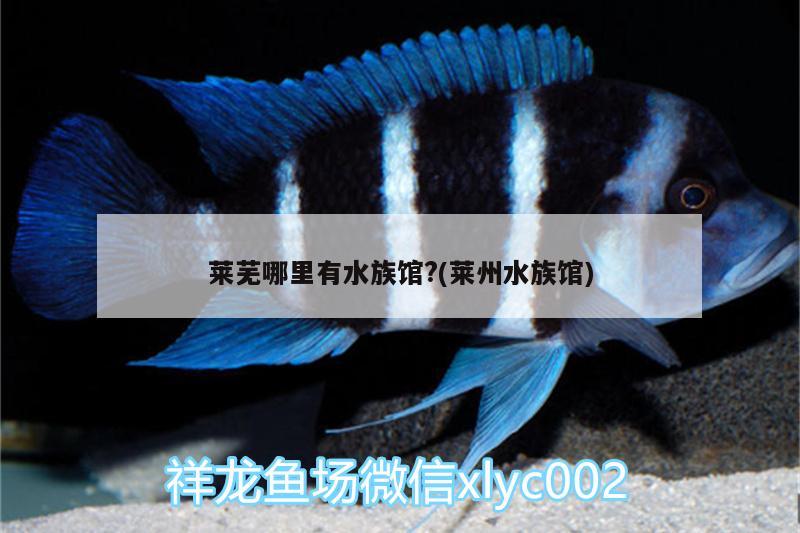 莱芜哪里有水族馆?(莱州水族馆)