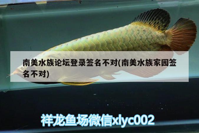 南美水族论坛登录签名不对(南美水族家园签名不对)